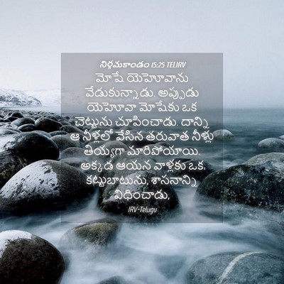 Picture 04 - నిర్గమకాండం 15:25 TELIRV - మోషే యెహోవాను - Bible Verse Picture