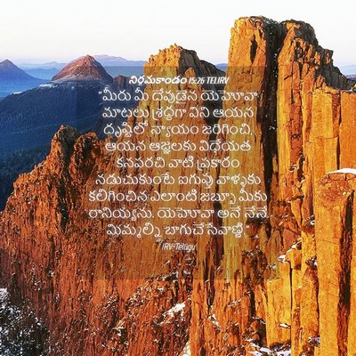 Picture 04 - నిర్గమకాండం 15:26 TELIRV - “మీరు మీ దేవుడైన - Bible Verse Picture