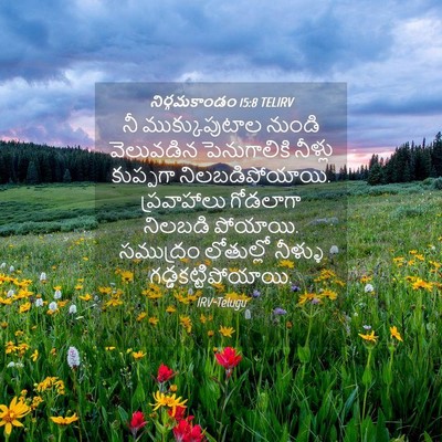 Picture 04 - నిర్గమకాండం 15:8 TELIRV - నీ ముక్కుపుటాల - Bible Verse Picture