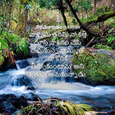 Picture 04 - నిర్గమకాండం 15:9 TELIRV - ‘వాళ్ళను తరిమి నా - Bible Verse Picture