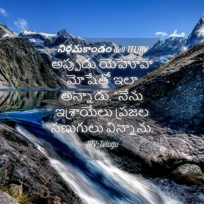 Picture 04 - నిర్గమకాండం 16:11 TELIRV - అప్పుడు యెహోవా - Bible Verse Picture