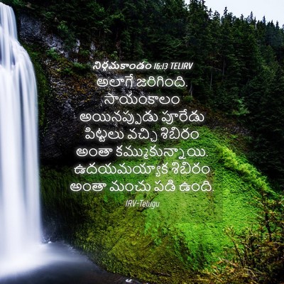 Picture 04 - నిర్గమకాండం 16:13 TELIRV - అలాగే జరిగింది. - Bible Verse Picture