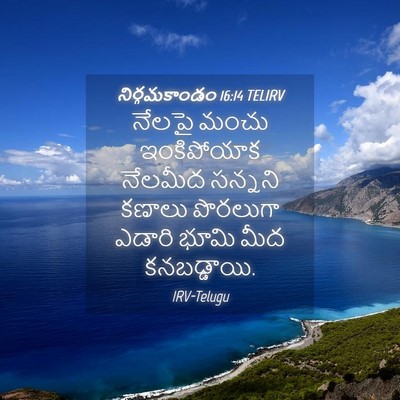 Picture 04 - నిర్గమకాండం 16:14 TELIRV - నేలపై మంచు - Bible Verse Picture