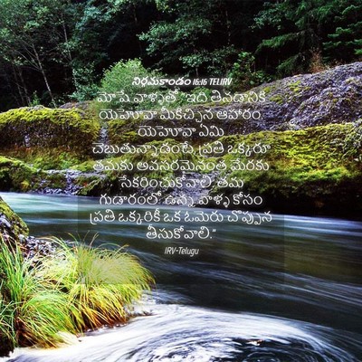 Picture 04 - నిర్గమకాండం 16:16 TELIRV - మోషే వాళ్ళతో “ఇది - Bible Verse Picture