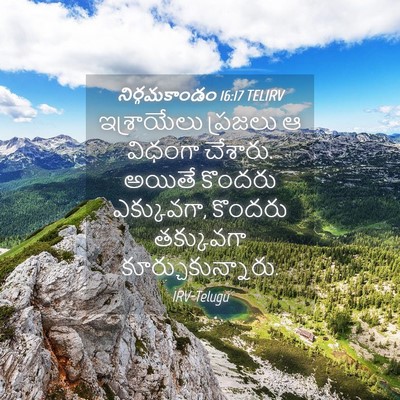 Picture 04 - నిర్గమకాండం 16:17 TELIRV - ఇశ్రాయేలు ప్రజలు - Bible Verse Picture