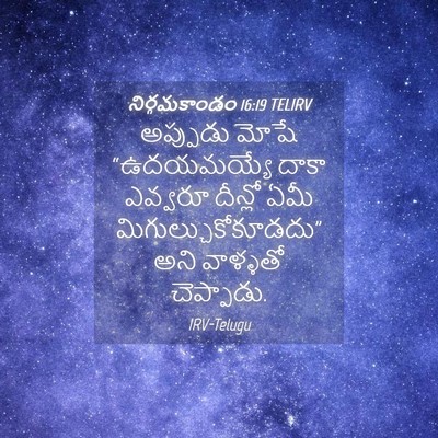 Picture 04 - నిర్గమకాండం 16:19 TELIRV - అప్పుడు మోషే - Bible Verse Picture