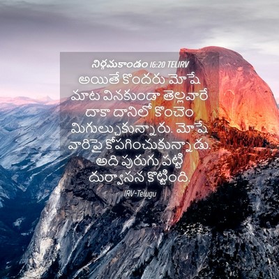Picture 04 - నిర్గమకాండం 16:20 TELIRV - అయితే కొందరు మోషే - Bible Verse Picture