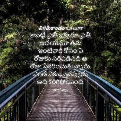Picture 04 - నిర్గమకాండం 16:21 TELIRV - కాబట్టి ప్రతి - Bible Verse Picture
