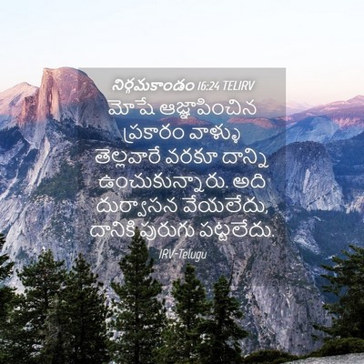 Picture 04 - నిర్గమకాండం 16:24 TELIRV - మోషే ఆజ్ఞాపించిన - Bible Verse Picture