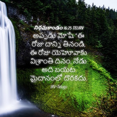 Picture 04 - నిర్గమకాండం 16:25 TELIRV - అప్పడు మోషే “ఈ - Bible Verse Picture