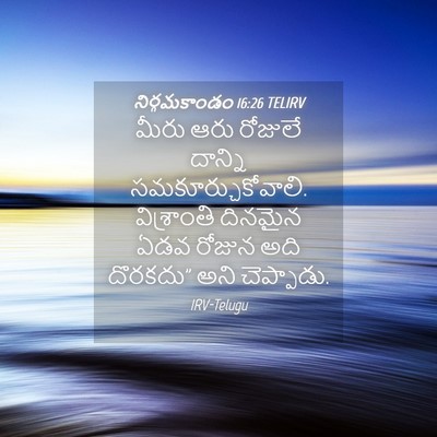 Picture 04 - నిర్గమకాండం 16:26 TELIRV - మీరు ఆరు రోజులే - Bible Verse Picture