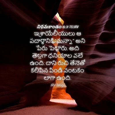 Picture 04 - నిర్గమకాండం 16:31 TELIRV - ఇశ్రాయేలీయులు ఆ - Bible Verse Picture