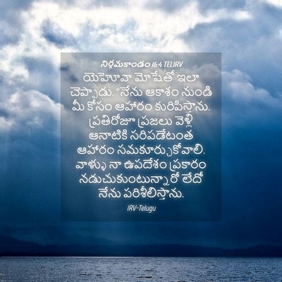 Picture 04 - నిర్గమకాండం 16:4 TELIRV - యెహోవా మోషేతో ఇలా - Bible Verse Picture
