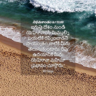 Picture 04 - నిర్గమకాండం 16:7 TELIRV - ఐగుప్తు దేశం - Bible Verse Picture