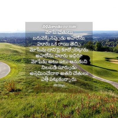 Picture 04 - నిర్గమకాండం 17:12 TELIRV - మోషే చేతులు - Bible Verse Picture