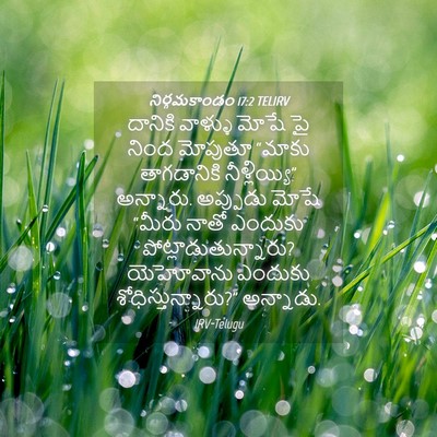 Picture 04 - నిర్గమకాండం 17:2 TELIRV - దానికి వాళ్ళు - Bible Verse Picture