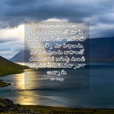 Picture 04 - నిర్గమకాండం 17:3 TELIRV - ప్రజలు దాహంతో - Bible Verse Picture