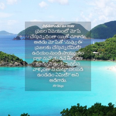 Picture 04 - నిర్గమకాండం 18:14 TELIRV - ప్రజల విషయంలో - Bible Verse Picture