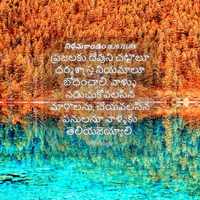 Picture 04 - నిర్గమకాండం 18:20 TELIRV - ప్రజలకు దేవుని - Bible Verse Picture