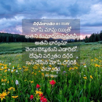 Picture 04 - నిర్గమకాండం 18:5 TELIRV - మోషే మామ యిత్రో - Bible Verse Picture