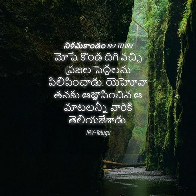Picture 04 - నిర్గమకాండం 19:7 TELIRV - మోషే కొండ దిగి - Bible Verse Picture