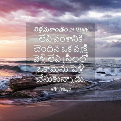Picture 04 - నిర్గమకాండం 2:1 TELIRV - లేవి వంశానికి - Bible Verse Picture