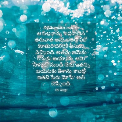 Picture 04 - నిర్గమకాండం 2:10 TELIRV - ఆ పిల్లవాడు - Bible Verse Picture