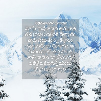 Picture 04 - నిర్గమకాండం 2:11 TELIRV - మోషే పెద్దవాడైన - Bible Verse Picture