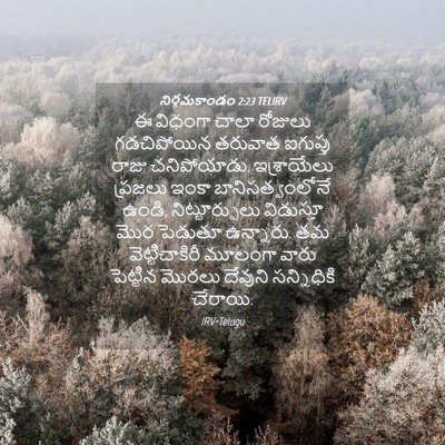 Picture 04 - నిర్గమకాండం 2:23 TELIRV - ఈ విధంగా చాలా - Bible Verse Picture