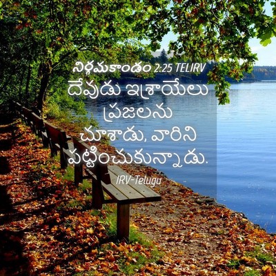 Picture 04 - నిర్గమకాండం 2:25 TELIRV - దేవుడు ఇశ్రాయేలు - Bible Verse Picture