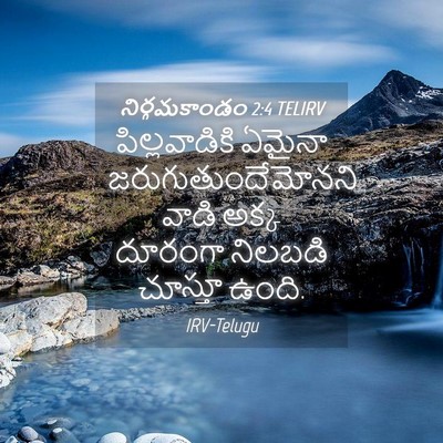 Picture 04 - నిర్గమకాండం 2:4 TELIRV - పిల్లవాడికి ఏమైనా - Bible Verse Picture