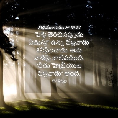 Picture 04 - నిర్గమకాండం 2:6 TELIRV - పెట్టె - Bible Verse Picture