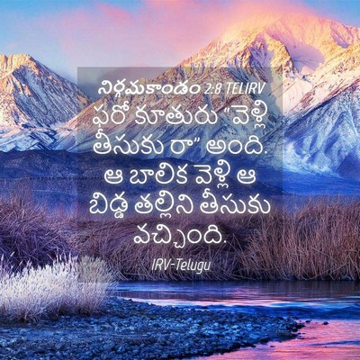 Picture 04 - నిర్గమకాండం 2:8 TELIRV - ఫరో కూతురు - Bible Verse Picture