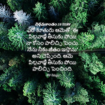 Picture 04 - నిర్గమకాండం 2:9 TELIRV - ఫరో కూతురు ఆమెతో - Bible Verse Picture