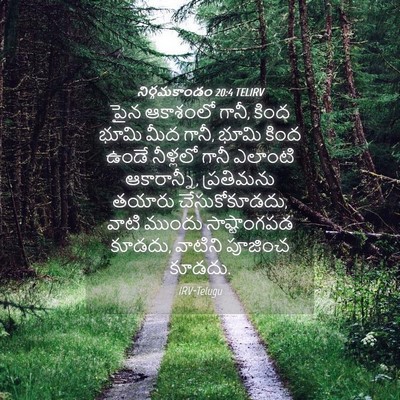 Picture 04 - నిర్గమకాండం 20:4 TELIRV - పైన ఆకాశంలో గానీ, - Bible Verse Picture