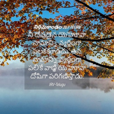 Picture 04 - నిర్గమకాండం 20:7 TELIRV - నీ దేవుడైన యెహోవా - Bible Verse Picture