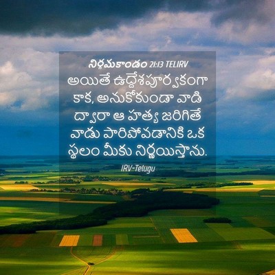 Picture 04 - నిర్గమకాండం 21:13 TELIRV - అయితే - Bible Verse Picture