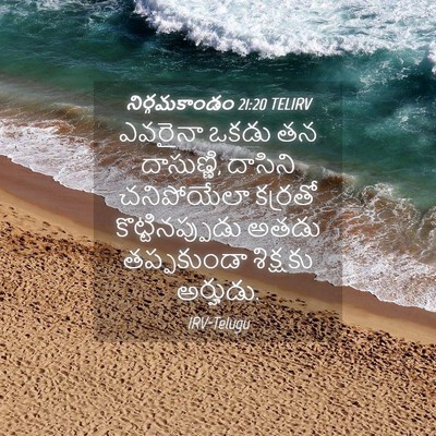 Picture 04 - నిర్గమకాండం 21:20 TELIRV - ఎవరైనా ఒకడు తన - Bible Verse Picture