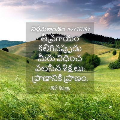 Picture 04 - నిర్గమకాండం 21:23 TELIRV - తీవ్రగాయం - Bible Verse Picture