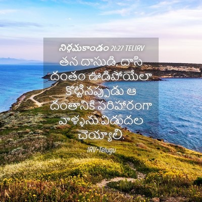Picture 04 - నిర్గమకాండం 21:27 TELIRV - తన దాసుడి, దాసి - Bible Verse Picture