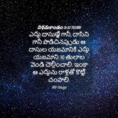 Picture 04 - నిర్గమకాండం 21:32 TELIRV - ఎద్దు దాసుణ్ణి - Bible Verse Picture