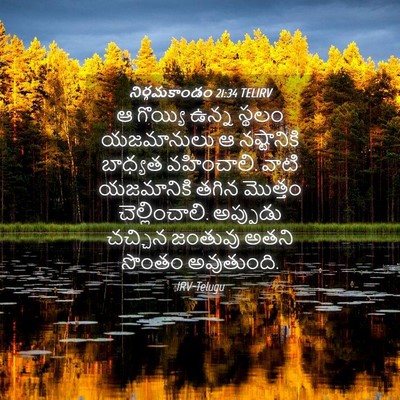 Picture 04 - నిర్గమకాండం 21:34 TELIRV - ఆ గొయ్యి ఉన్న - Bible Verse Picture