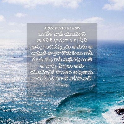 Picture 04 - నిర్గమకాండం 21:4 TELIRV - ఒకవేళ వాడి యజమాని - Bible Verse Picture
