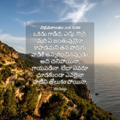 Picture 04 - నిర్గమకాండం 22:10 TELIRV - ఒకడు గాడిద, ఎద్దు, - Bible Verse Picture