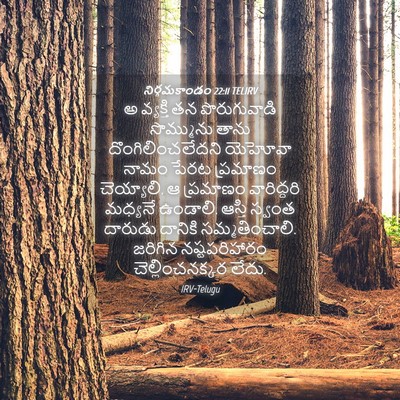 Picture 04 - నిర్గమకాండం 22:11 TELIRV - అ వ్యక్తి తన - Bible Verse Picture