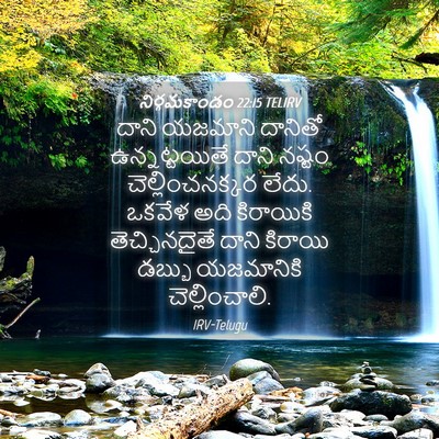 Picture 04 - నిర్గమకాండం 22:15 TELIRV - దాని యజమాని - Bible Verse Picture