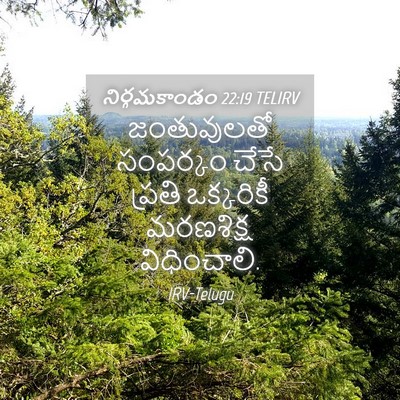 Picture 04 - నిర్గమకాండం 22:19 TELIRV - జంతువులతో సంపర్కం - Bible Verse Picture