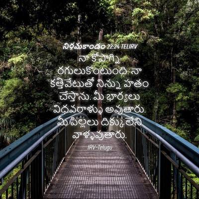 Picture 04 - నిర్గమకాండం 22:24 TELIRV - నా కోపాగ్ని - Bible Verse Picture
