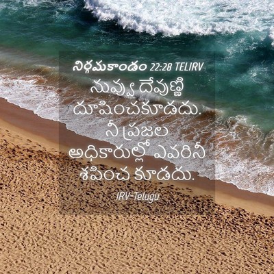 Picture 04 - నిర్గమకాండం 22:28 TELIRV - నువ్వు దేవుణ్ణి - Bible Verse Picture