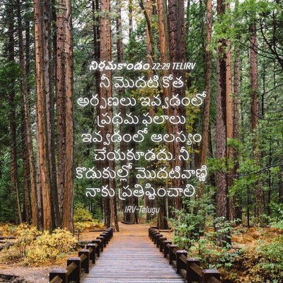 Picture 04 - నిర్గమకాండం 22:29 TELIRV - నీ మొదటి కోత - Bible Verse Picture